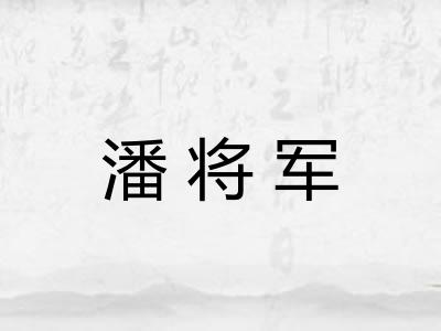 潘将军
