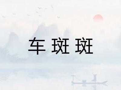 车斑斑