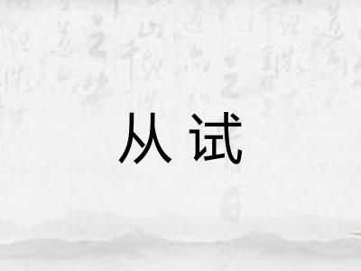 从试