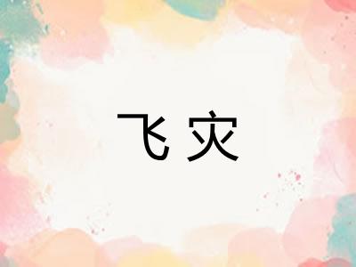 飞灾