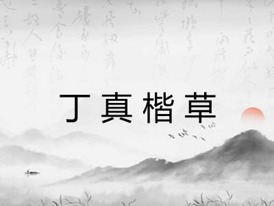 丁真楷草