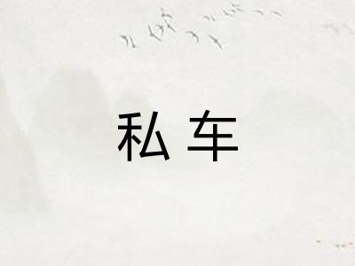 私车