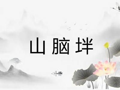 山脑坢