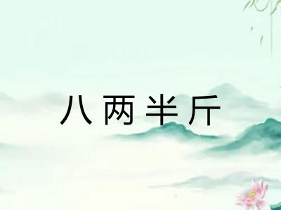八两半斤