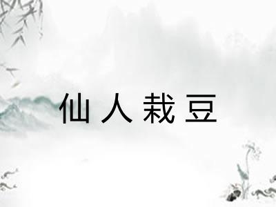 仙人栽豆