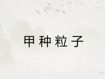 甲种粒子