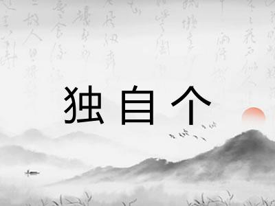 独自个