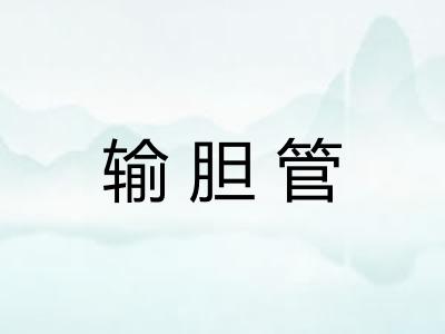 输胆管