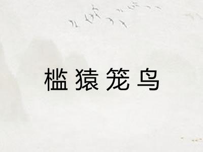 槛猿笼鸟