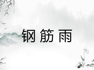 钢筋雨