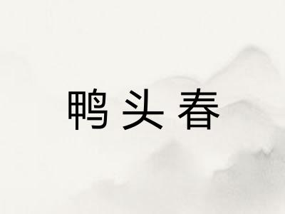 鸭头春