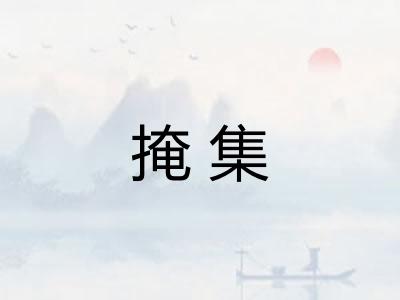掩集