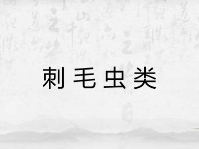 刺毛虫类
