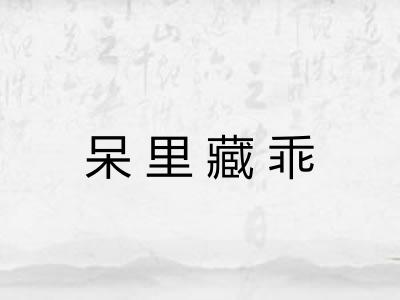 呆里藏乖