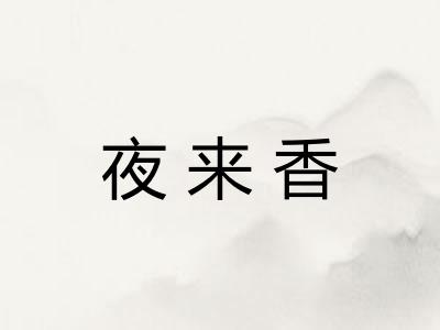夜来香