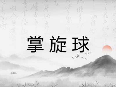 掌旋球