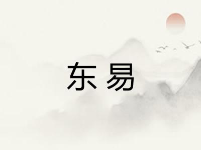 东易