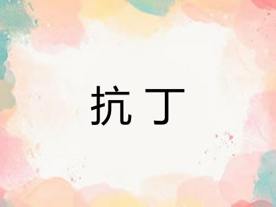 抗丁