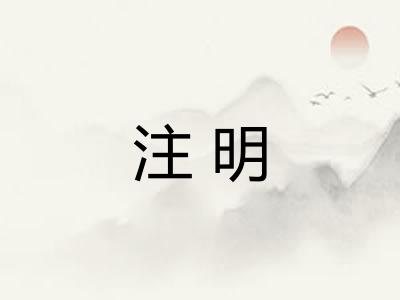 注明