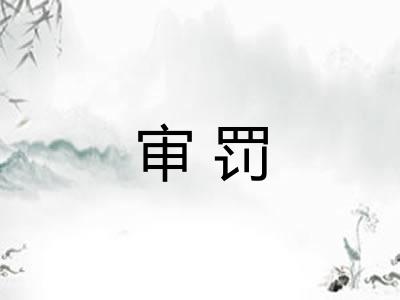 审罚
