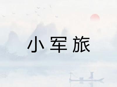 小军旅