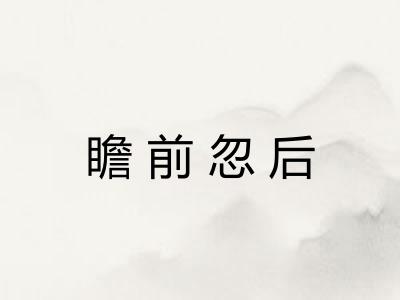 瞻前忽后