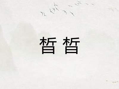 晳晳