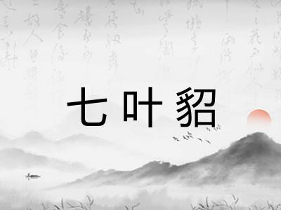 七叶貂