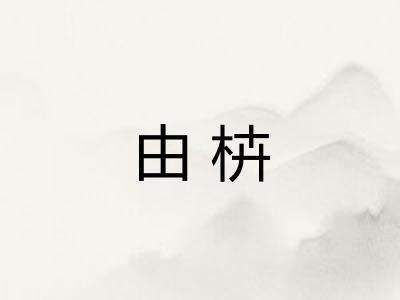 由枿
