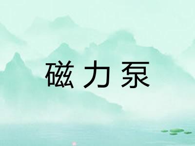 磁力泵