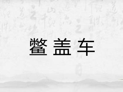 鳖盖车