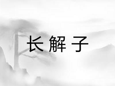 长解子
