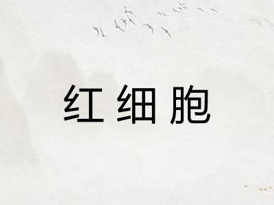 红细胞