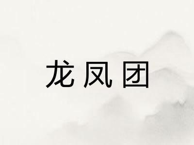 龙凤团