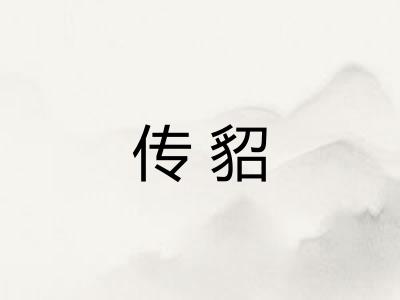 传貂
