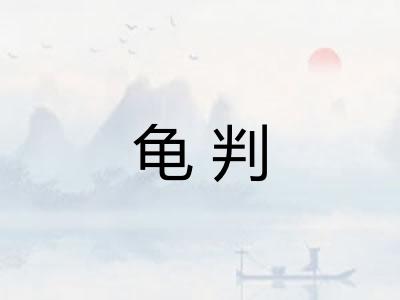龟判