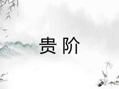 贵阶