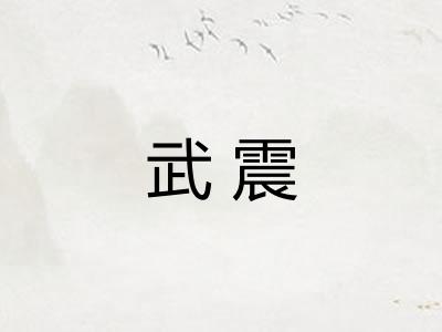 武震