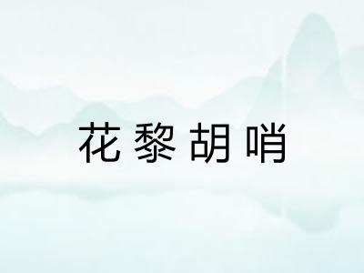 花黎胡哨