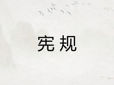 宪规
