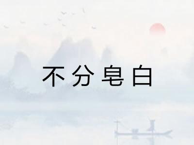 不分皂白