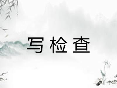 写检查