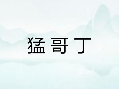 猛哥丁