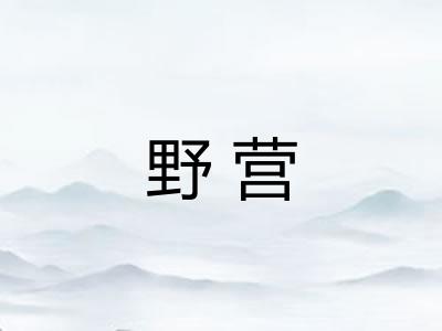 野营