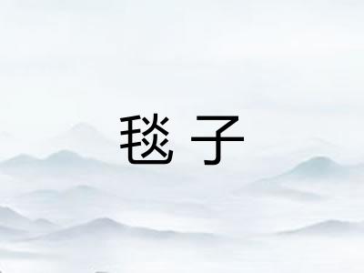 毯子