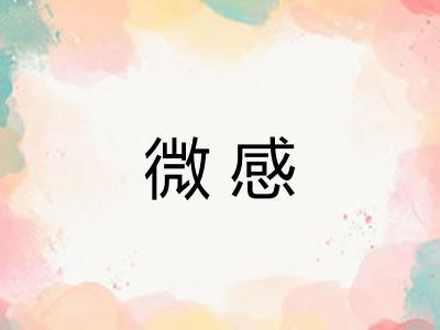 微感