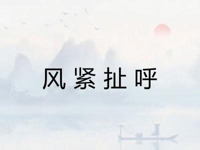 风紧扯呼