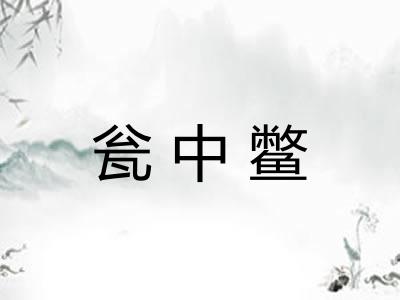 瓮中鳖