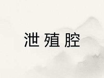 泄殖腔