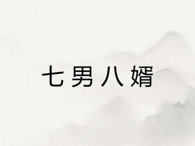 七男八婿